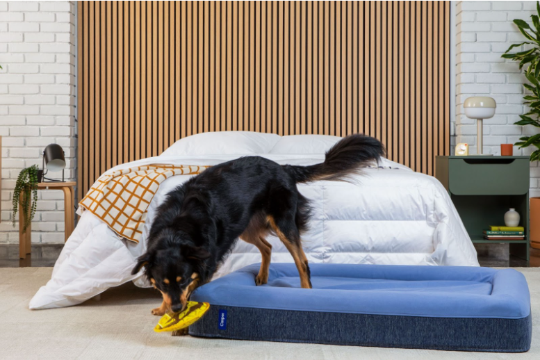 How To Wash A Dog Bed