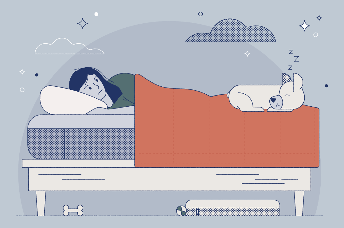 how to get dog to sleep in dog bed