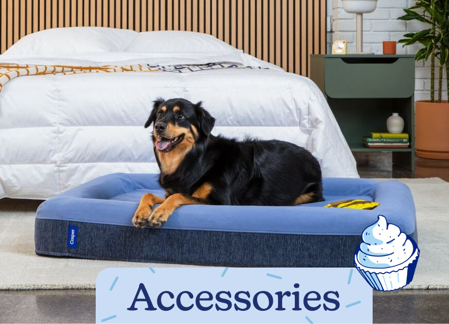 A dog lying on a dog bed in a bedroom setting. The text 'Accessories' is on the image with an illustration of a birthday cake.