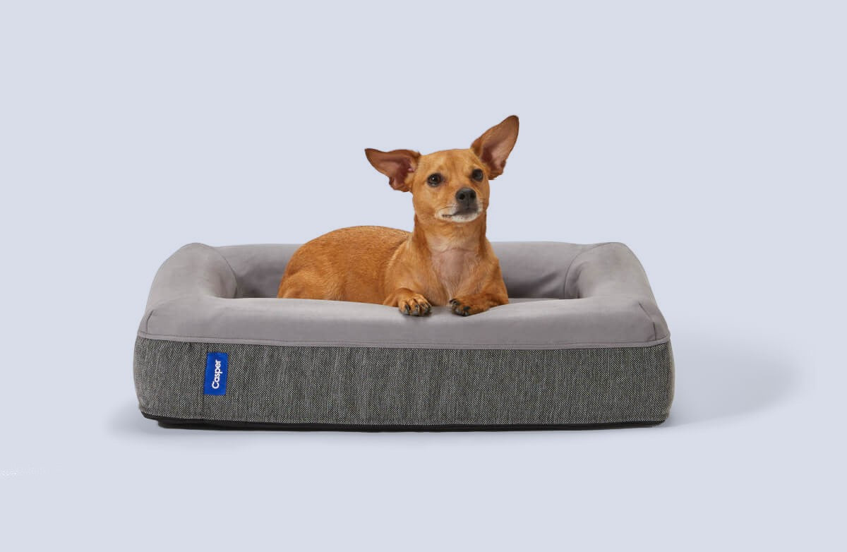 Dog Beds for Large, Medium, and Small Dogs Casper