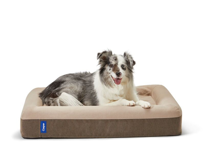 A cute dog lies comfortably in the Dog Bed