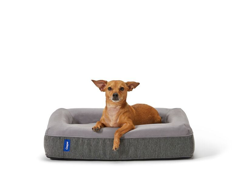 A cute dog sits comfortably in the Dog Bed