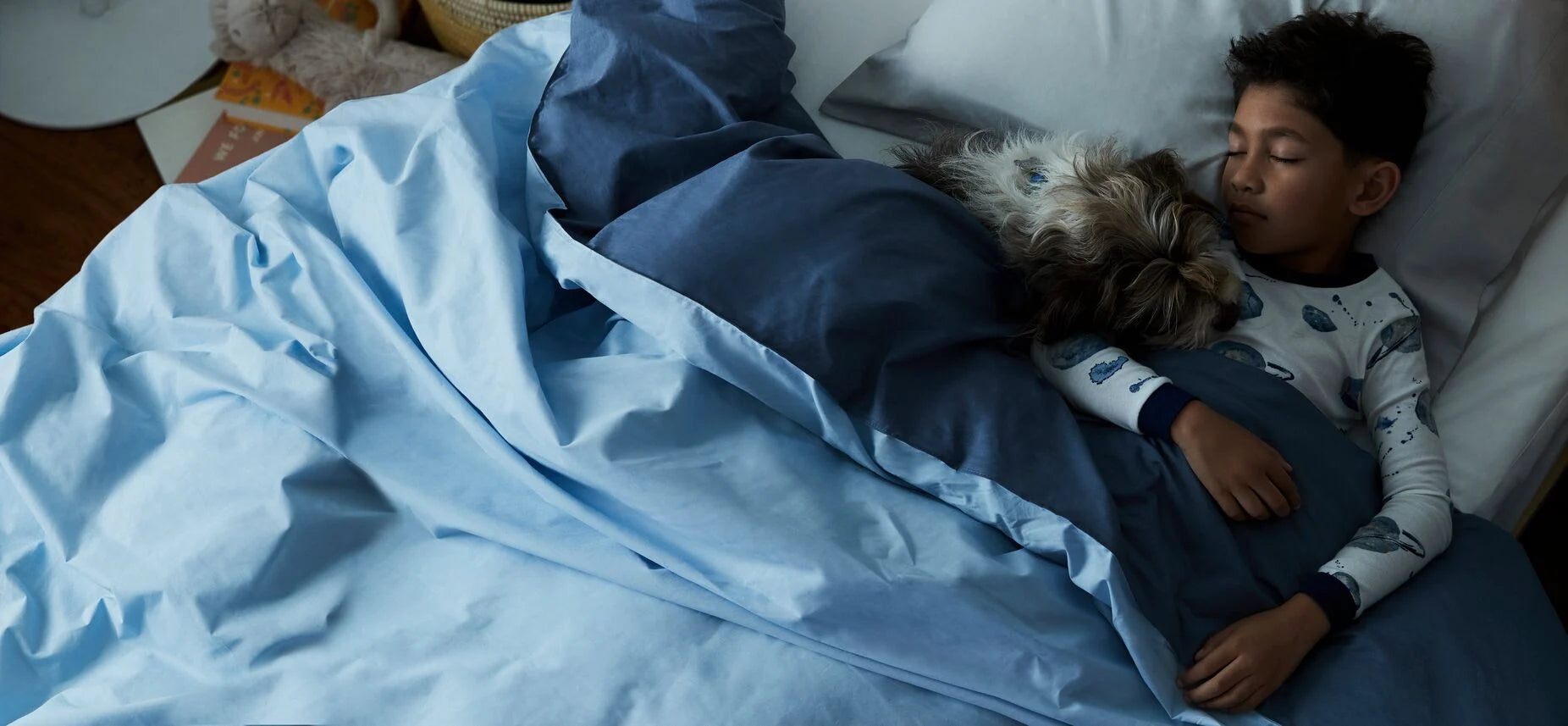 A boy and his dog sleep cozily in bed.