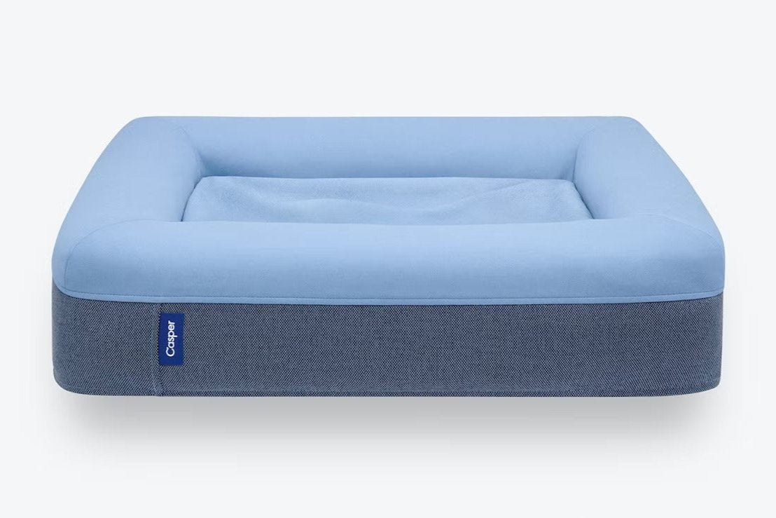 blue dog bed