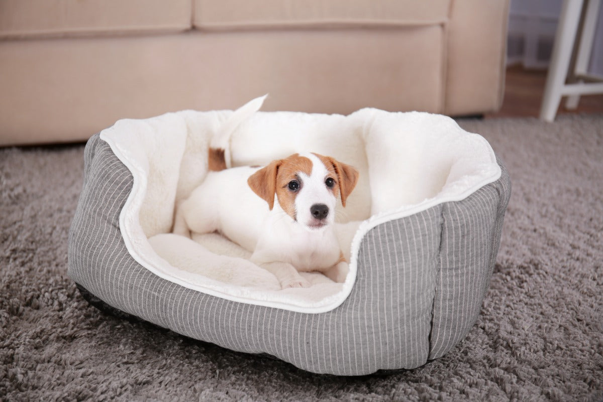 How To Wash A Dog Bed