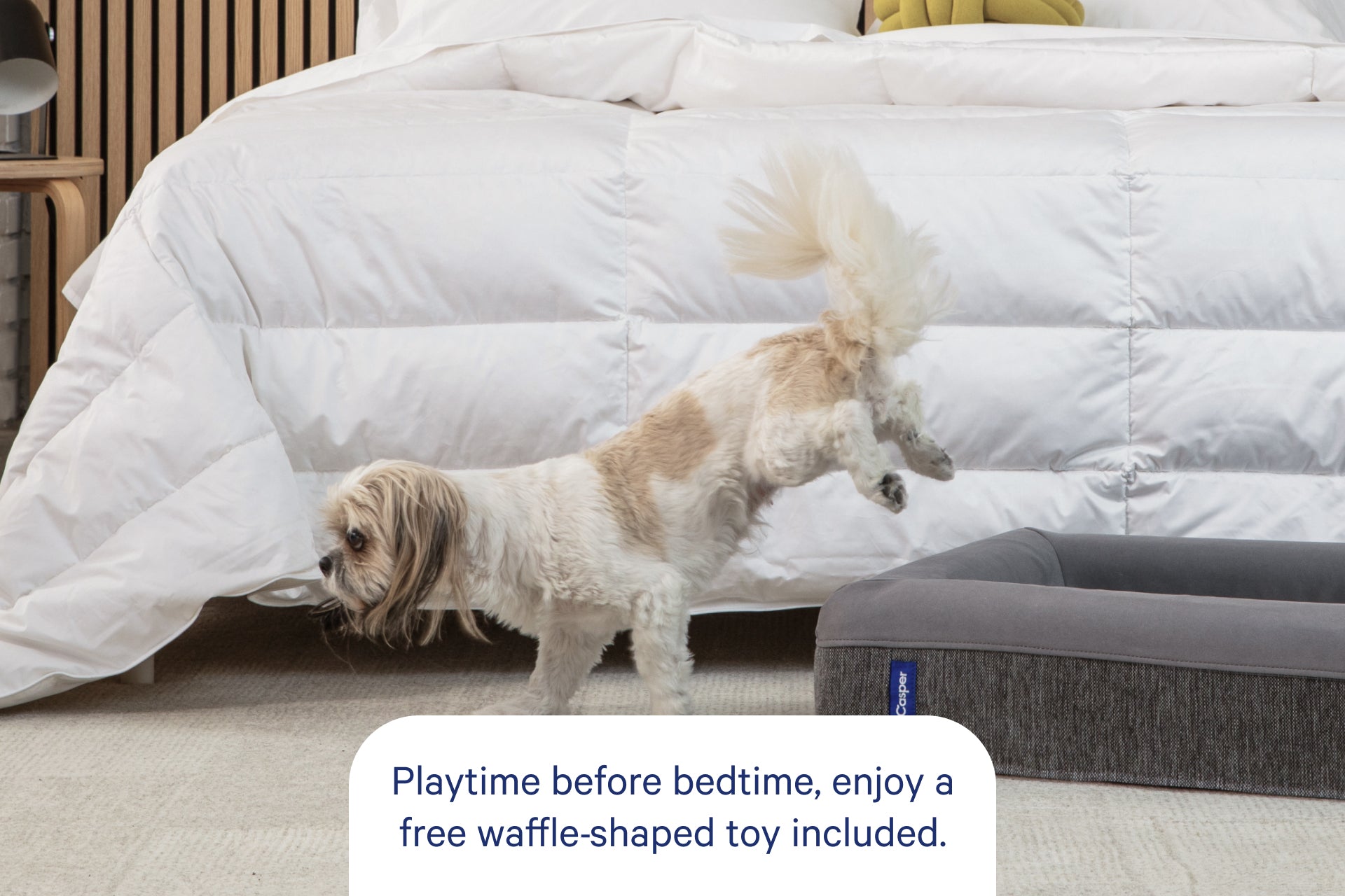 A small fluffy dog bounces off its gray pet bed on the floor in front of a bed with a white comforter. A text bubble at the bottom reads, "Playtime before bedtime, enjoy a free waffle-shaped toy included."