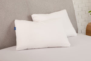 Down Pillow Double Pack leaning against a headboard