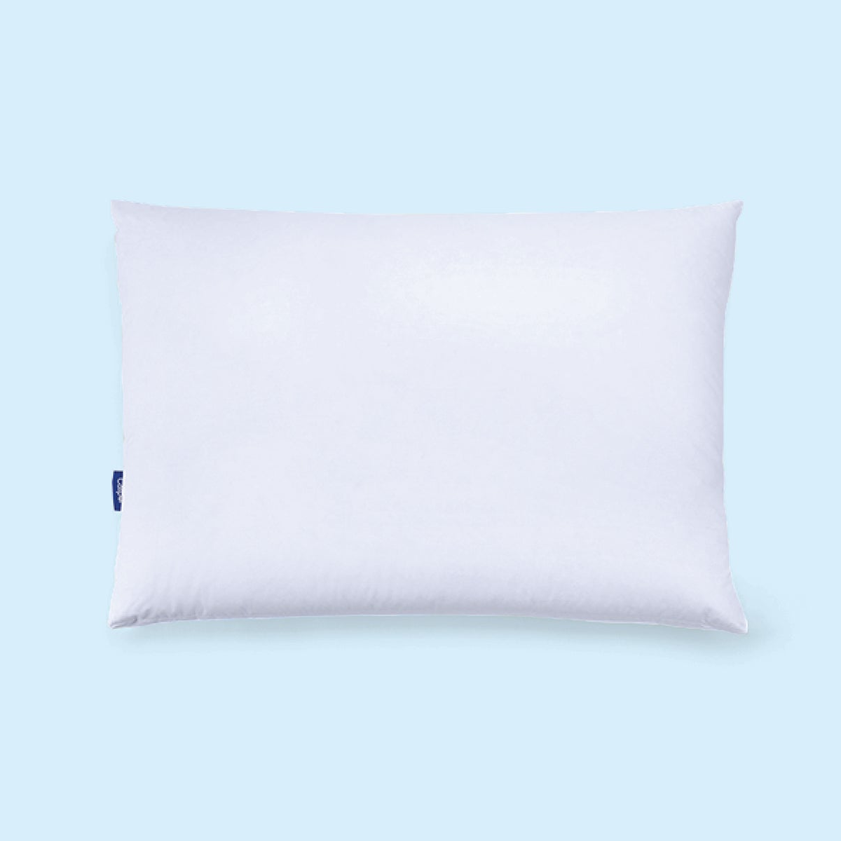 Casper's Down Pillow against a light blue background
