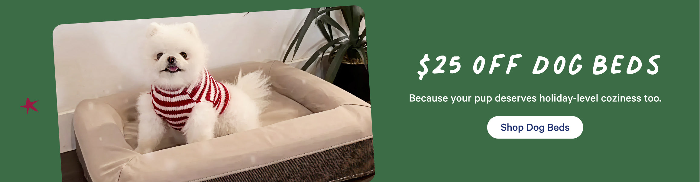 Promotional banner featuring a dog sitting in a dog bed. Text on the banner says, "$25 off dog beds. Because your pup deserves holiday-level coziness too. Shop Dog Beds."