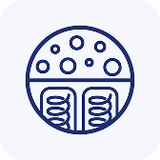 Premium Foam + Springs