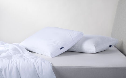 Down Pillow Double Pack