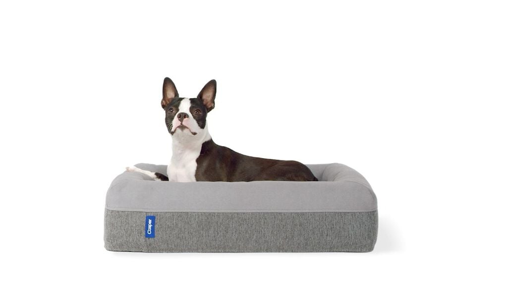 Custom Made Designer Dog Beds & Clothes for Sale
