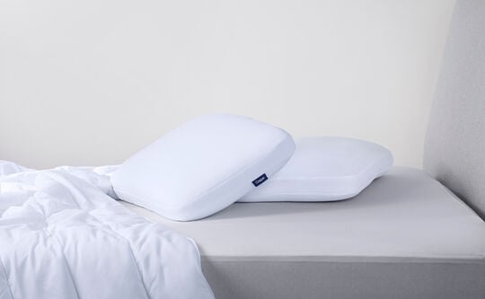 Foam Pillow with Snow Technology™ Double Pack